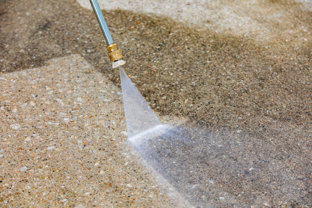 Animal Enclosure Cleaning in Grant, NE